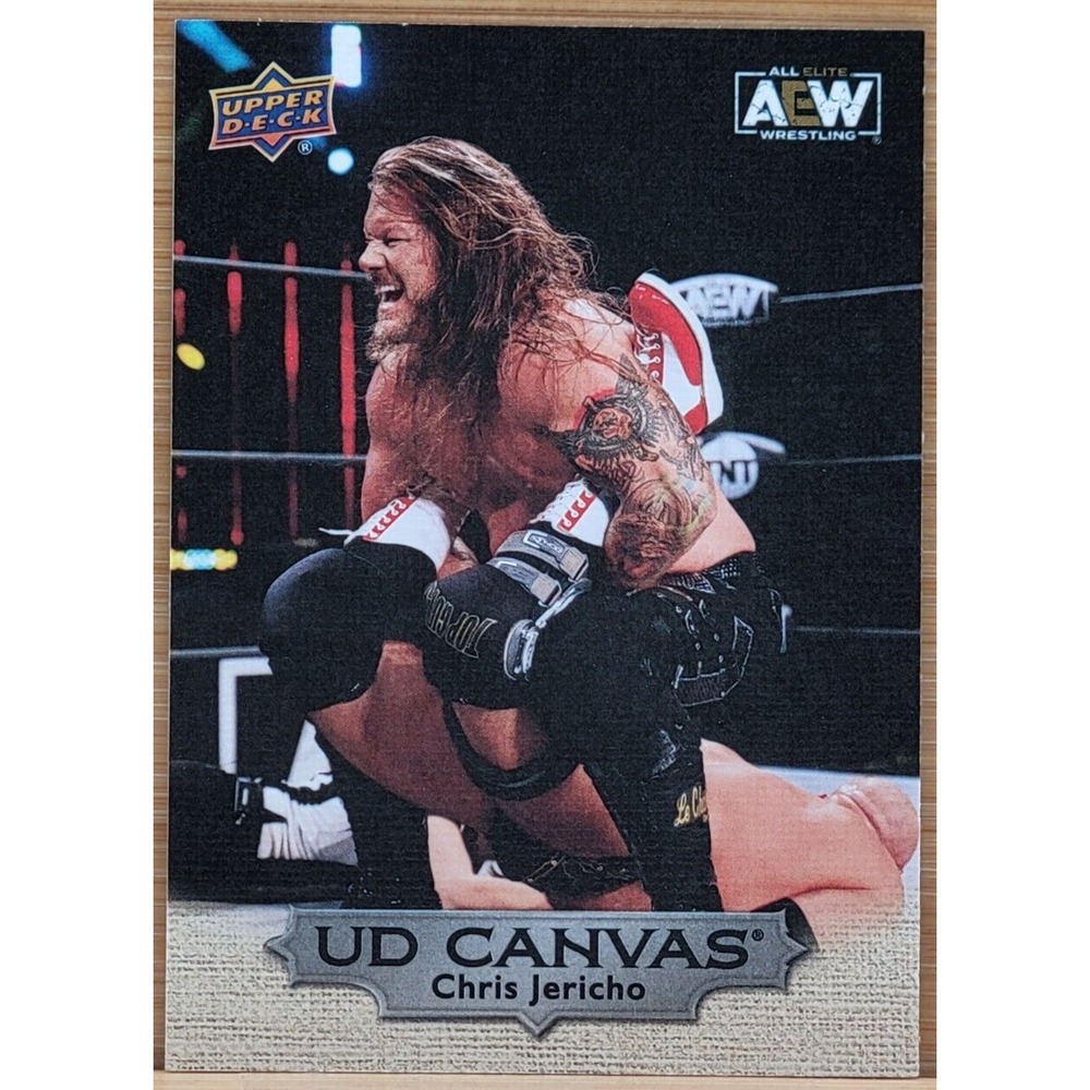 2022 UPPER DECK AEW CHRIS JERICHO UD CANVAS SP